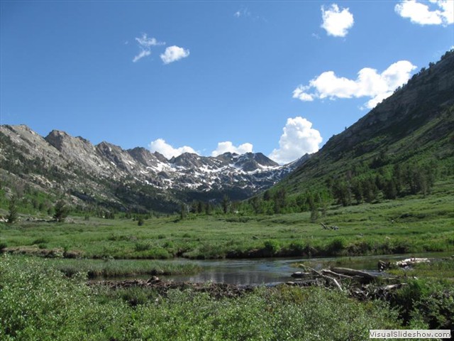 NV:   Near Road's End of Lamoille Canyon