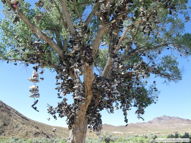 NV:   'Shoe Tree' on US50