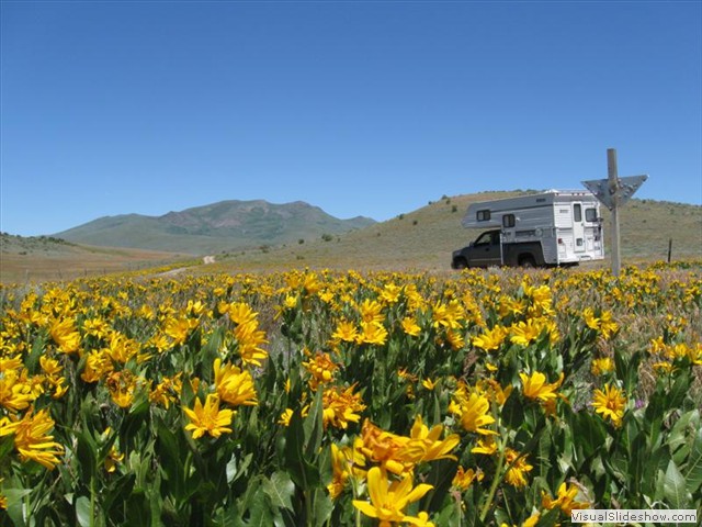 NV:   My Calendar Photo Winner!