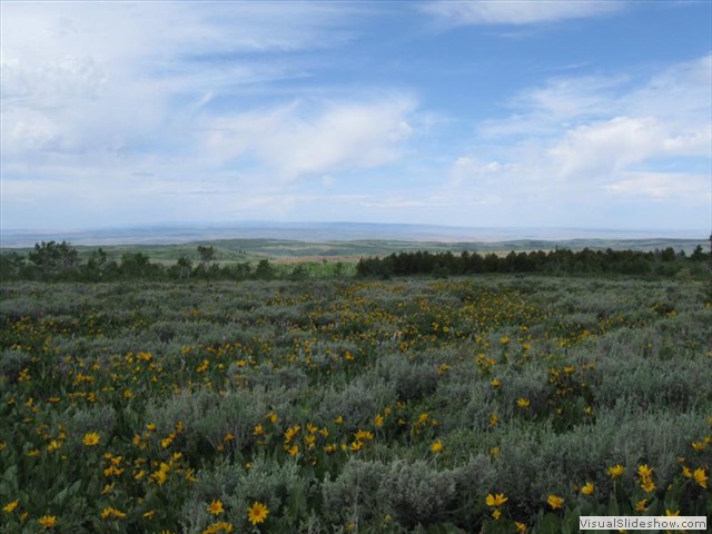 ID:   Boonies of Southern Idaho