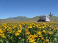 NV:   My Calendar Photo Winner!