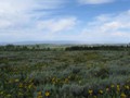 ID:   Boonies of Southern Idaho