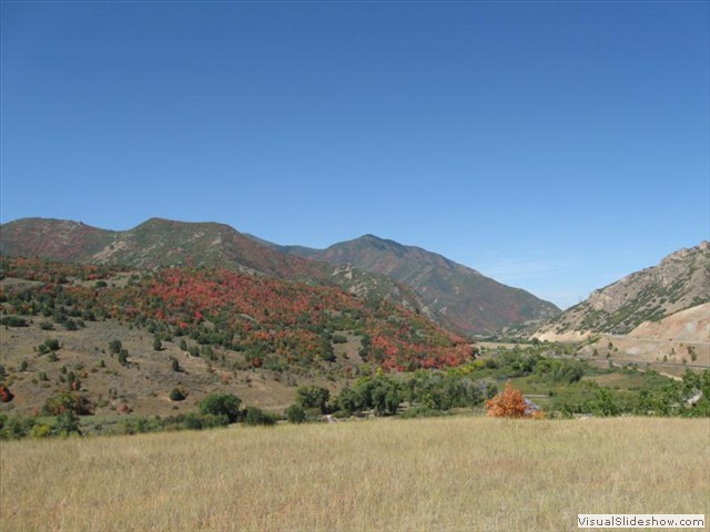 UT: Fall Colors