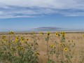 UT: The Great Salt Lake