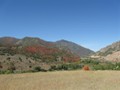 UT: Fall Colors